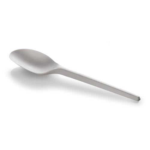 Biodegradable Spoon
