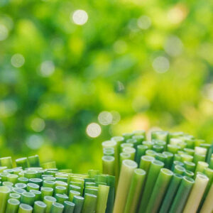 Grass straws